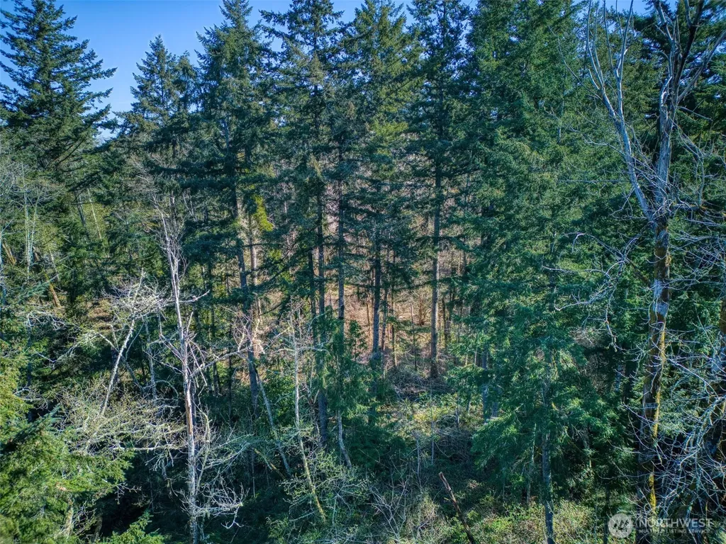 0 Whiteman Road SW Lakebay WA 98349