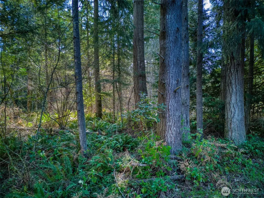0 Whiteman Road SW Lakebay WA 98349