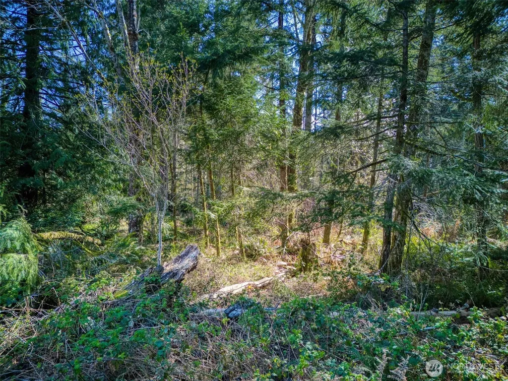 0 Whiteman Road SW Lakebay WA 98349