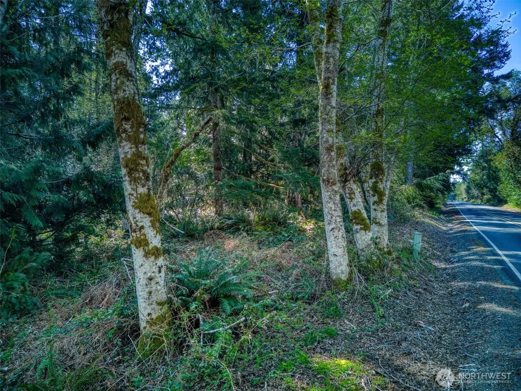 0 Whiteman Road SW Lakebay WA 98349