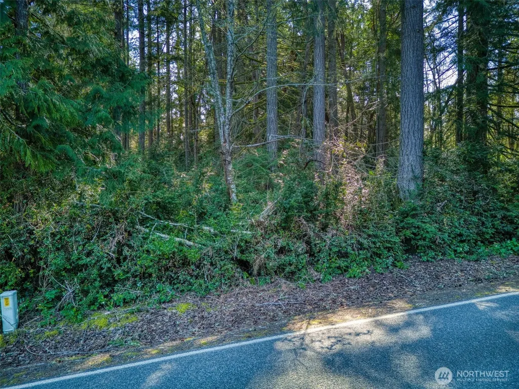 0 Whiteman Road SW Lakebay WA 98349