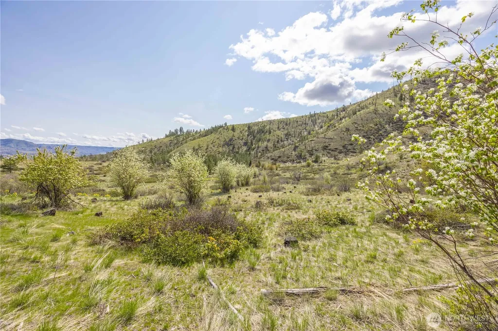 1 Bear Mountain Road Chelan WA 98816