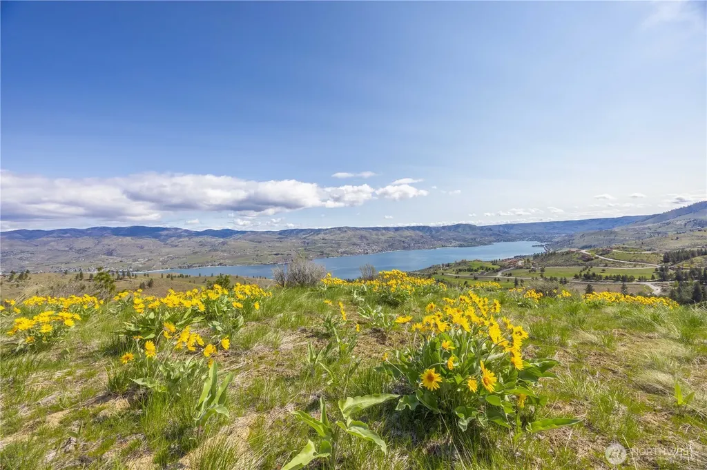 1 Bear Mountain Road Chelan WA 98816