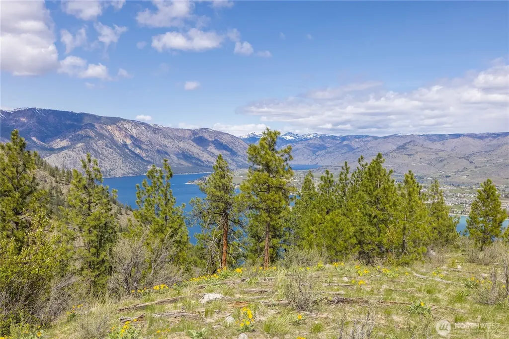 1 Bear Mountain Road Chelan WA 98816