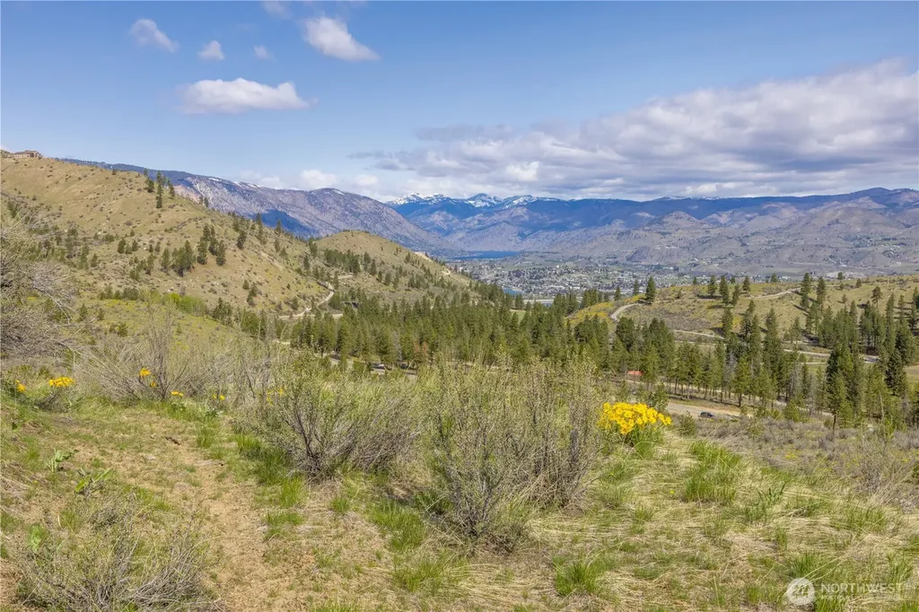 1 Bear Mountain Road Chelan WA 98816