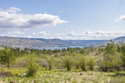 1 Bear Mountain Road Chelan WA 98816