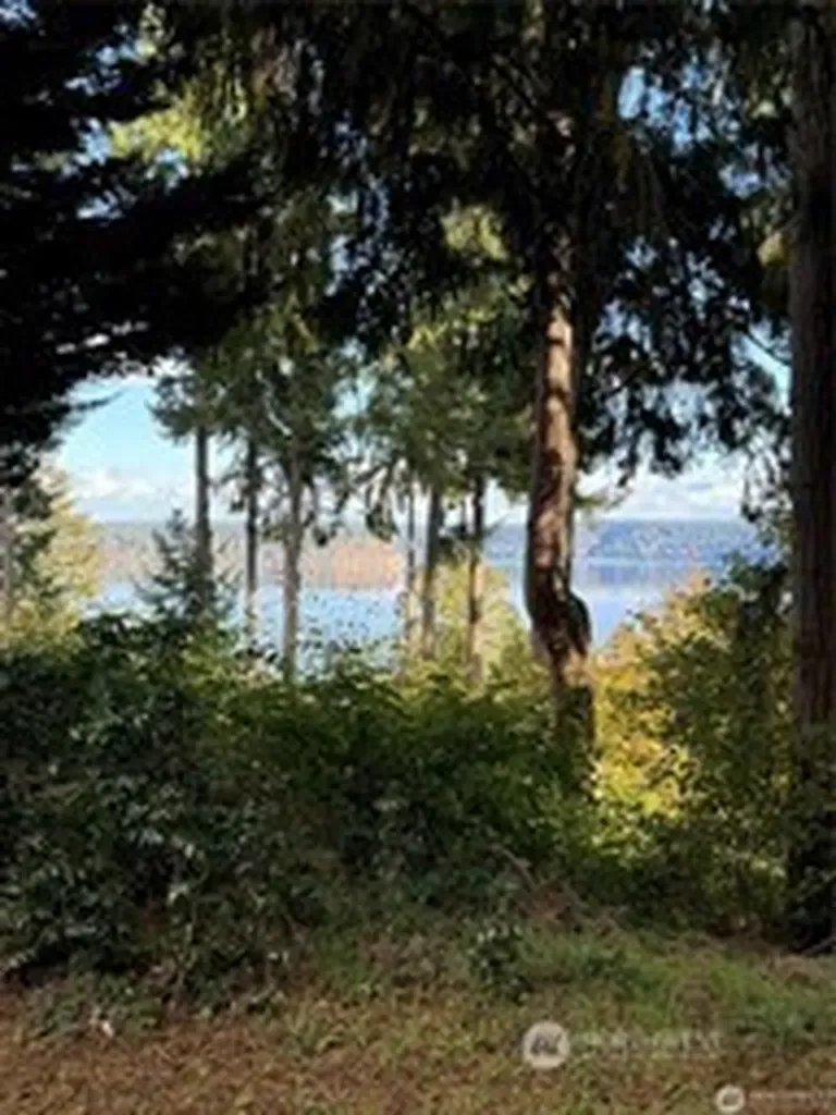 10911 Seaview Drive Anderson Island WA 98303