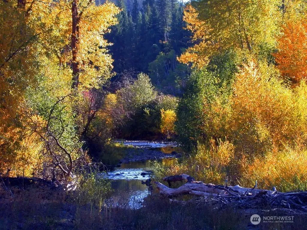 0 Swauk Pines Road Cle Elum WA 98922