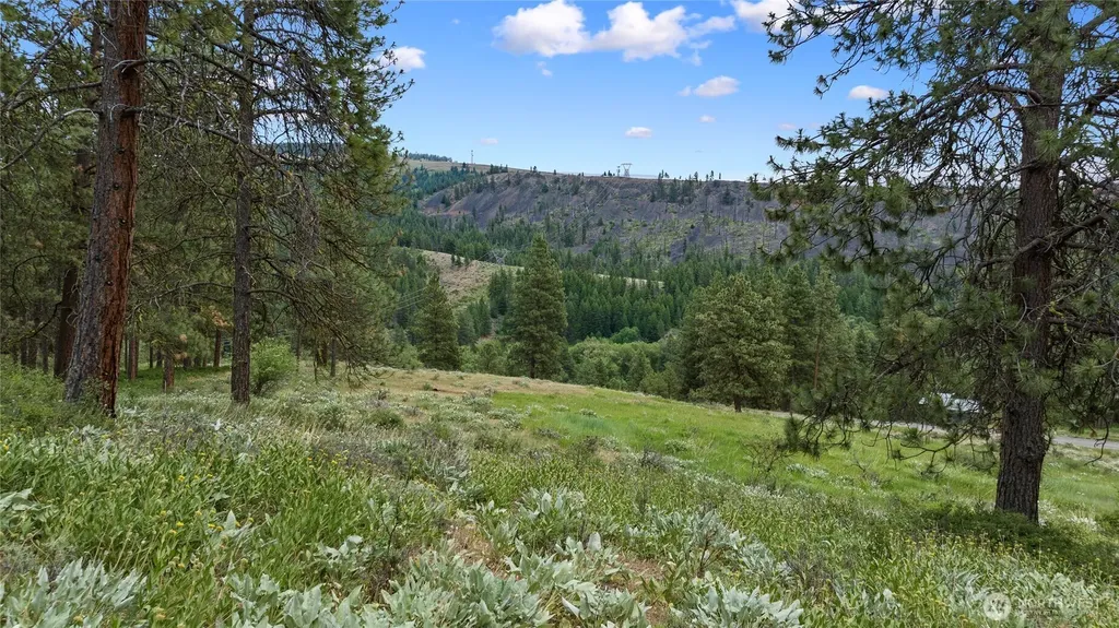 0 Swauk Pines Road Cle Elum WA 98922