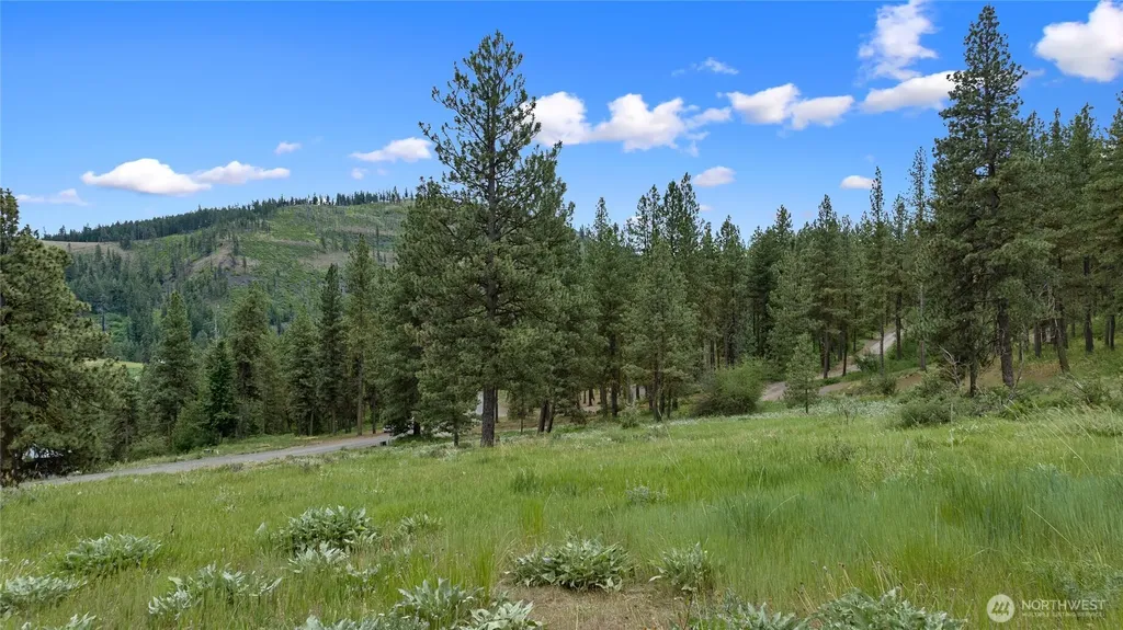 0 Swauk Pines Road Cle Elum WA 98922