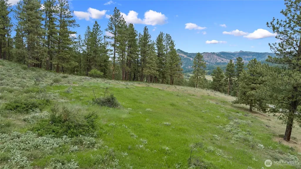 0 Swauk Pines Road Cle Elum WA 98922
