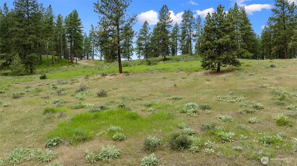 0 Swauk Pines Road Cle Elum WA 98922
