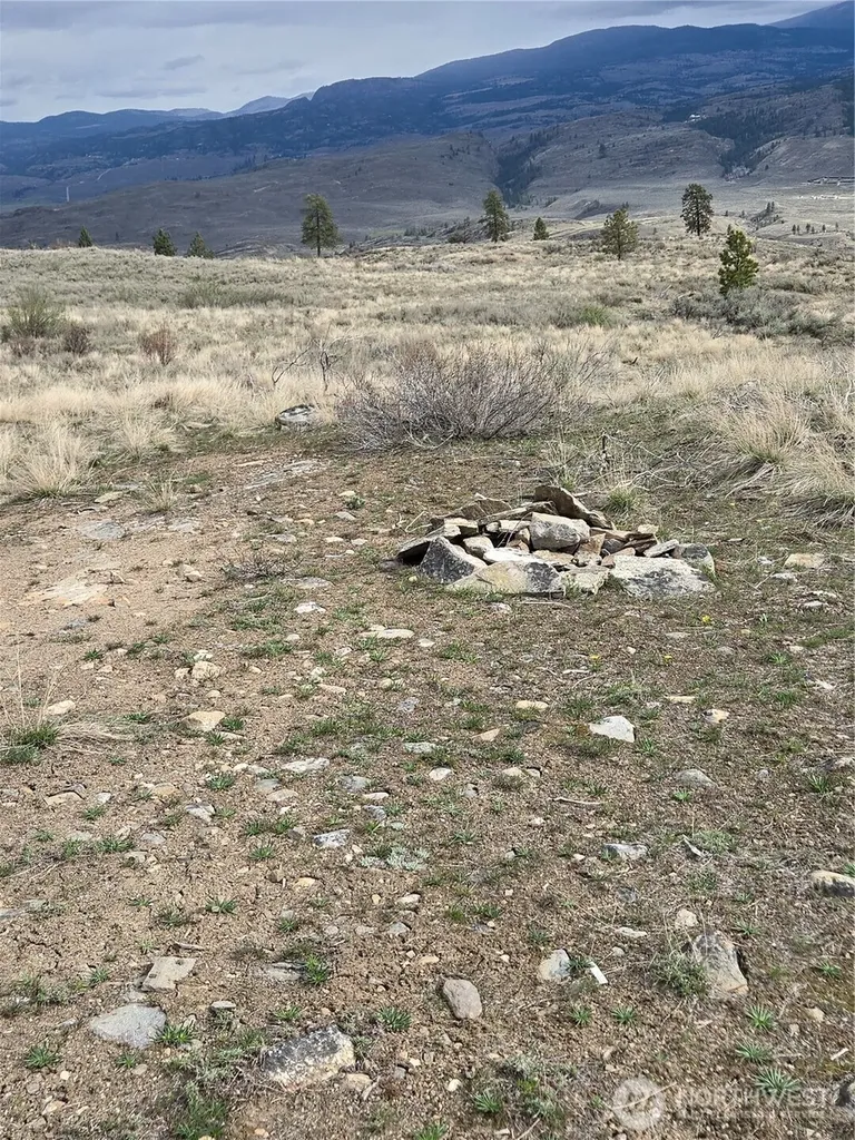 0 Tbd Twin Springs Road Tonasket WA 98855