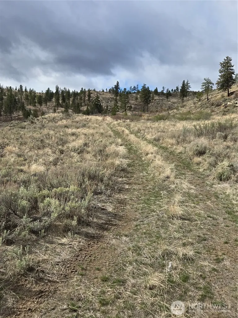 0 Tbd Twin Springs Road Tonasket WA 98855