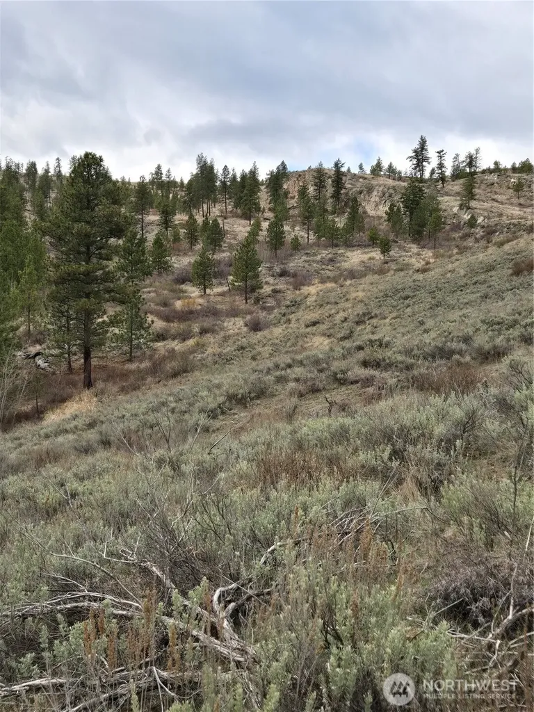 0 Tbd Twin Springs Road Tonasket WA 98855