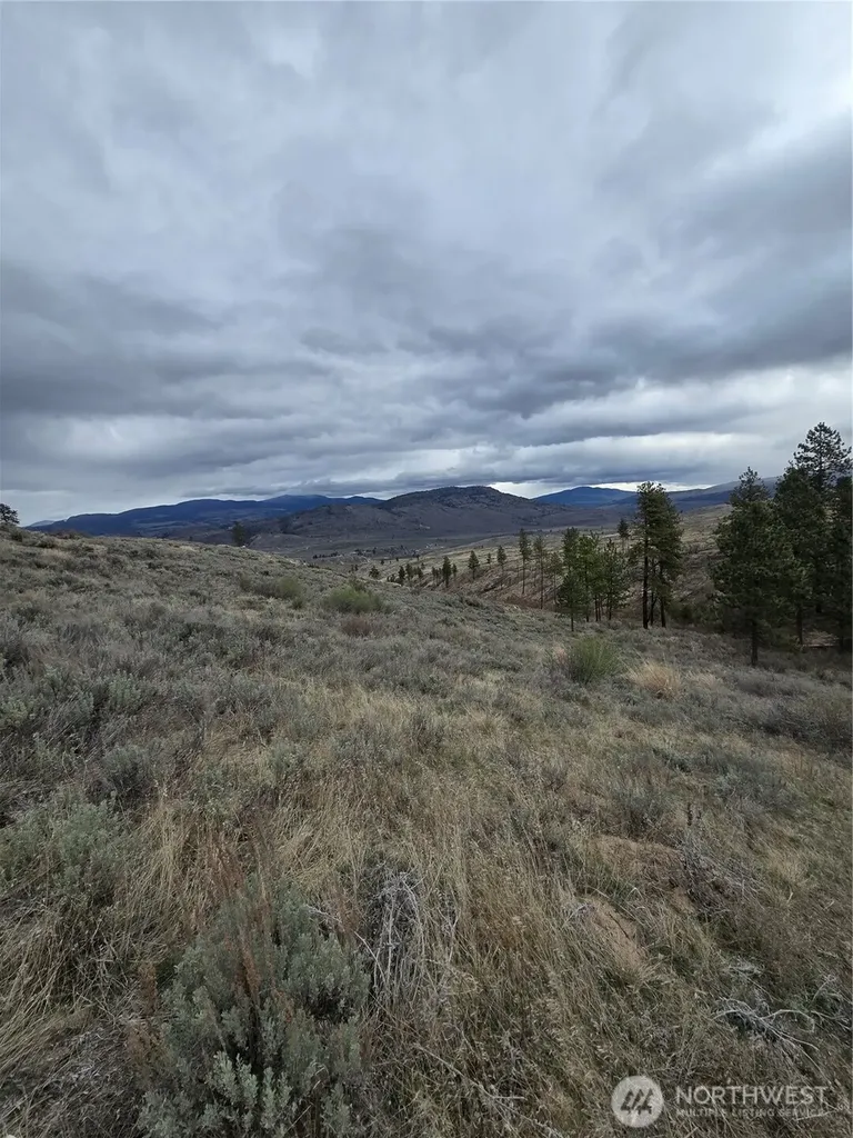 0 Tbd Twin Springs Road Tonasket WA 98855