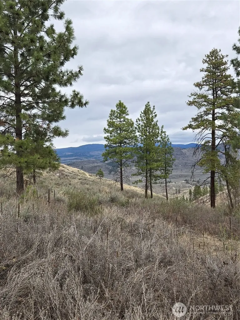 0 Tbd Twin Springs Road Tonasket WA 98855