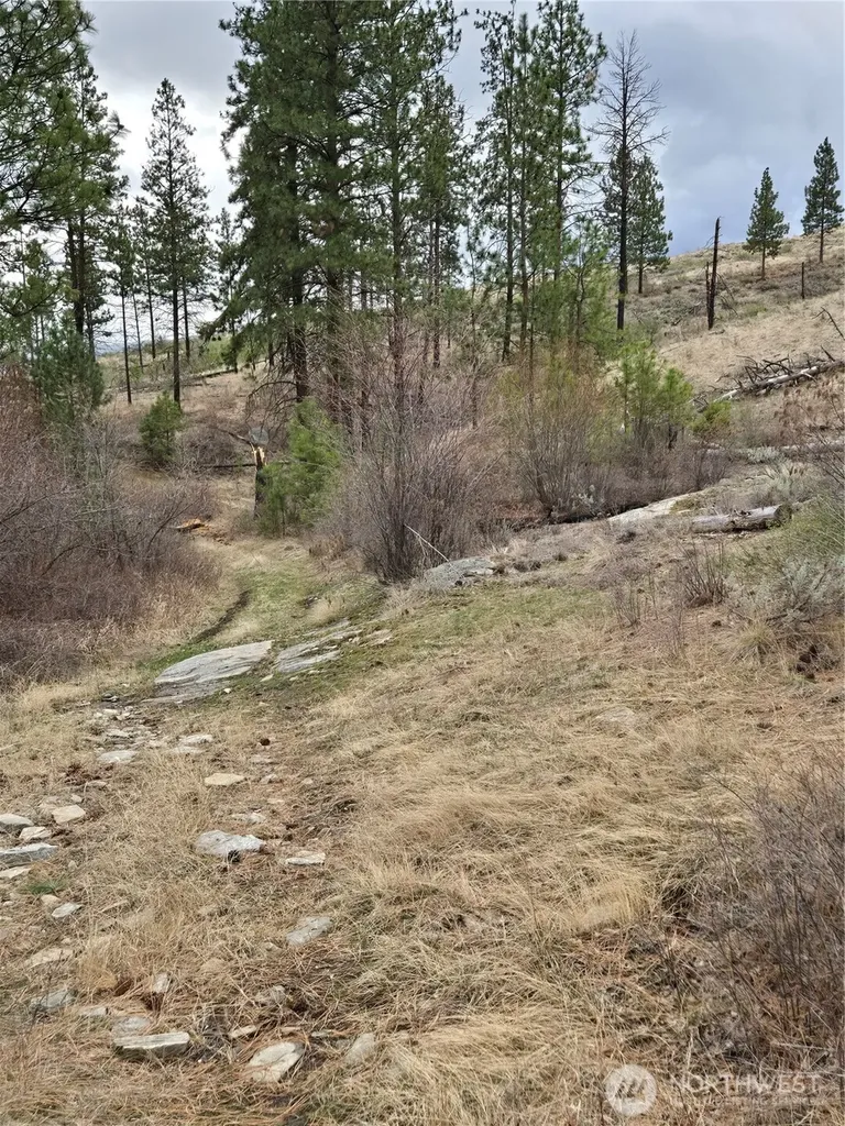 0 Tbd Twin Springs Road Tonasket WA 98855