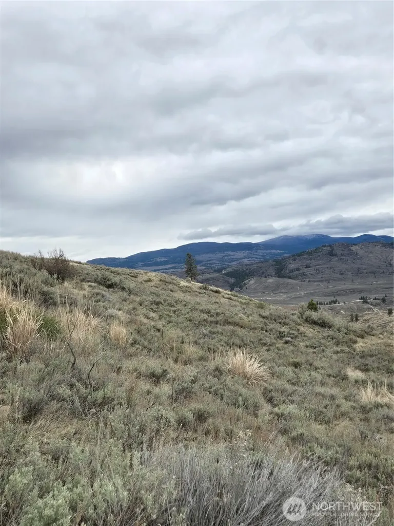 0 Tbd Twin Springs Road Tonasket WA 98855