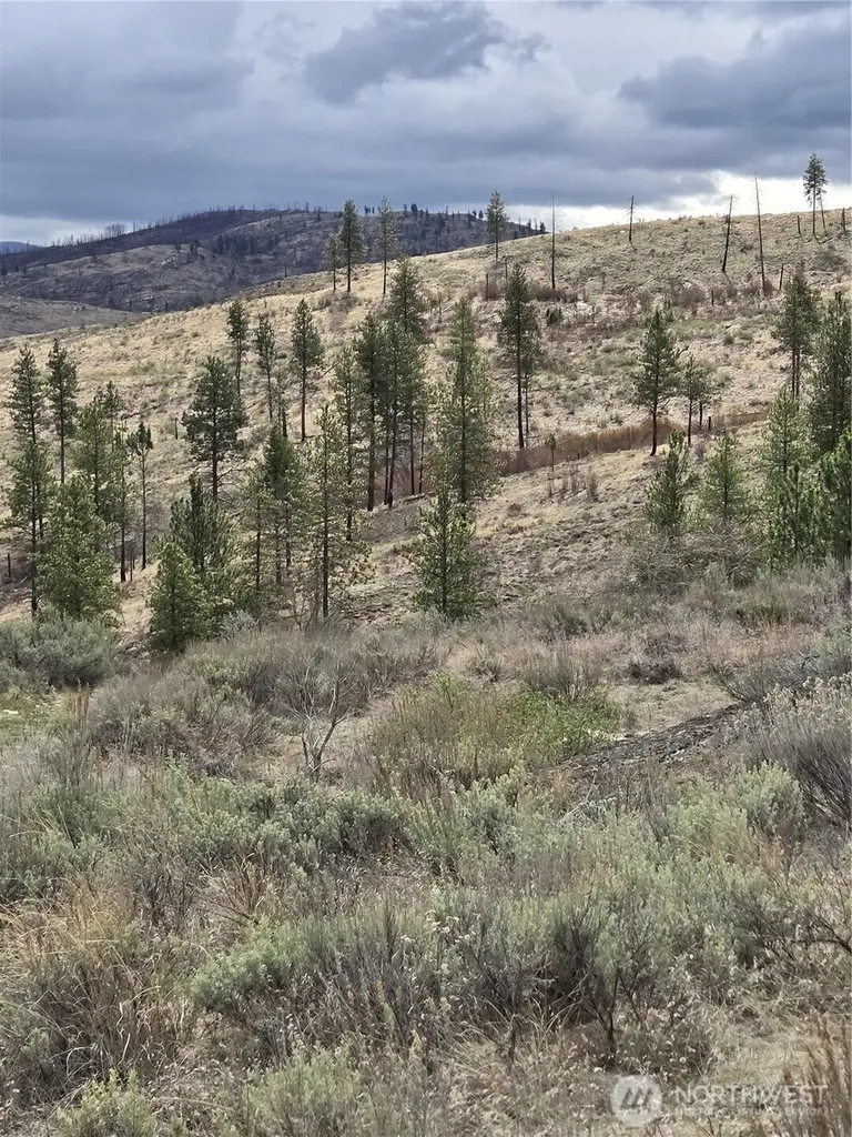 0 Tbd Twin Springs Road Tonasket WA 98855
