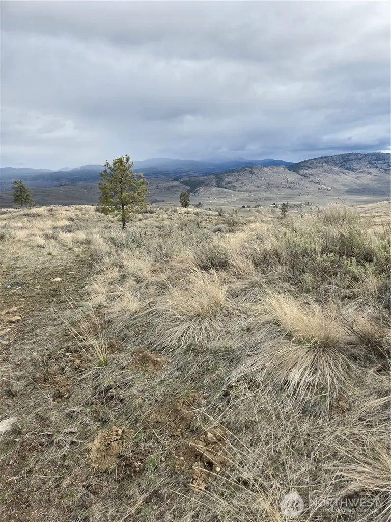 0 Tbd Twin Springs Road Tonasket WA 98855