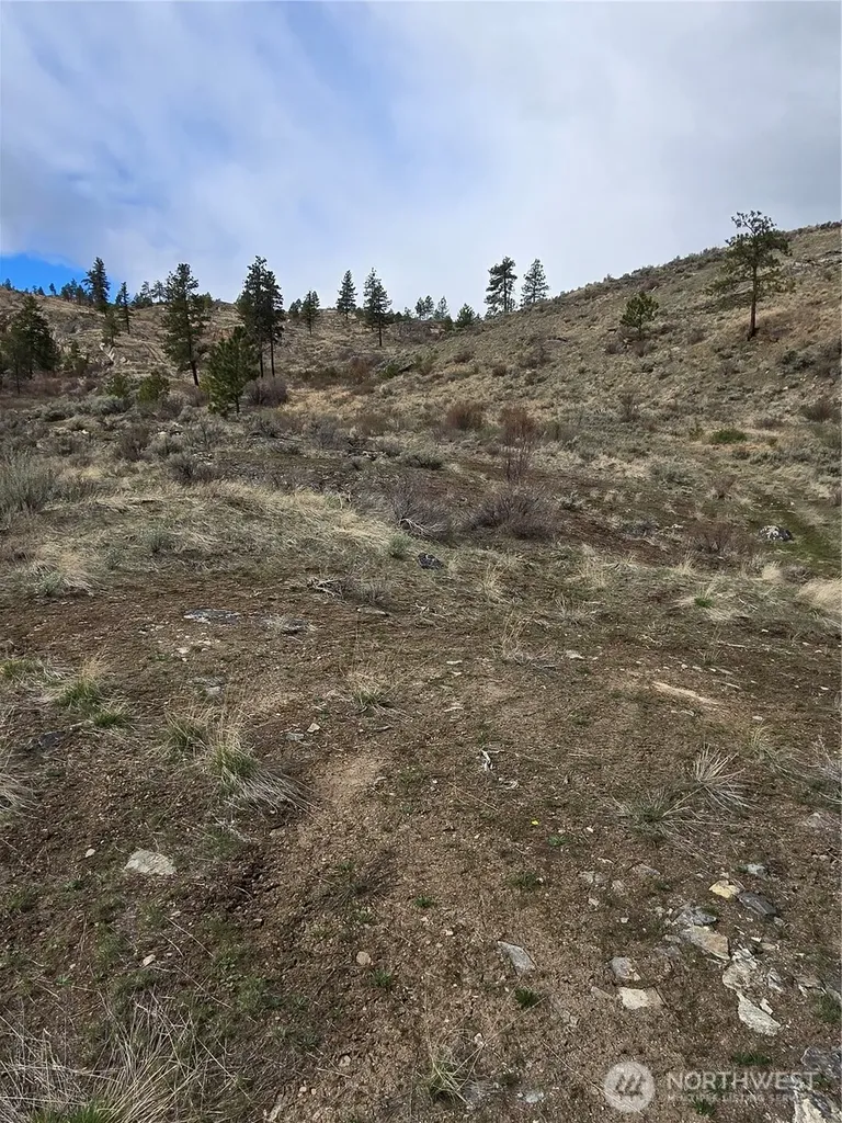 0 Tbd Twin Springs Road Tonasket WA 98855