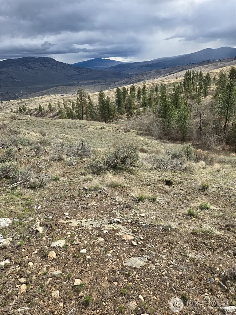 0 Tbd Twin Springs Road Tonasket WA 98855
