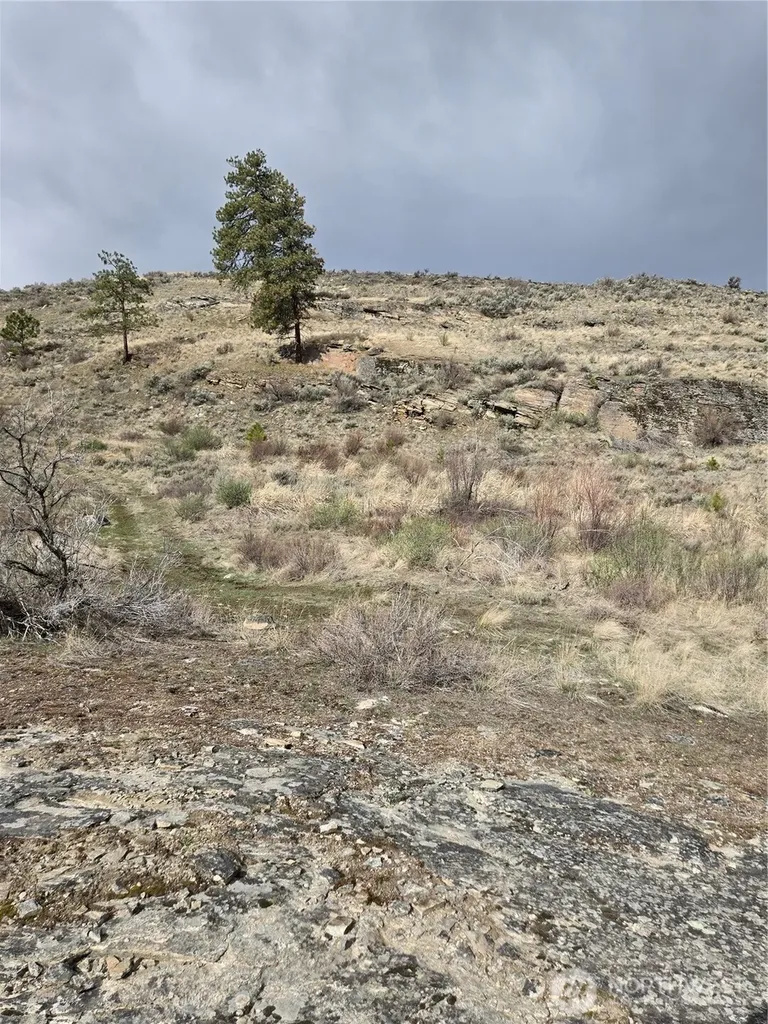 0 Tbd Twin Springs Road Tonasket WA 98855