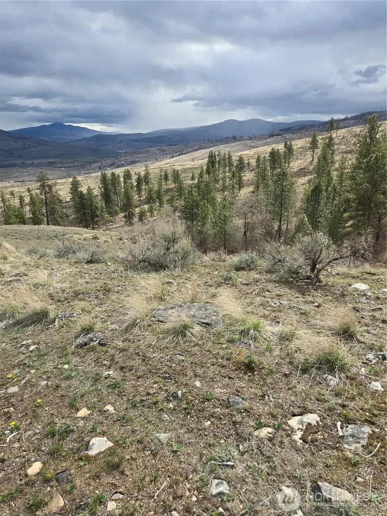 0 Tbd Twin Springs Road Tonasket WA 98855