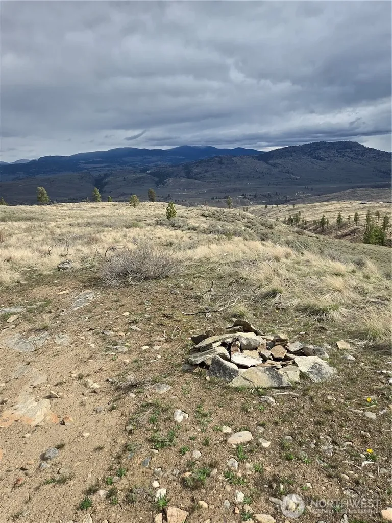 0 Tbd Twin Springs Road Tonasket WA 98855
