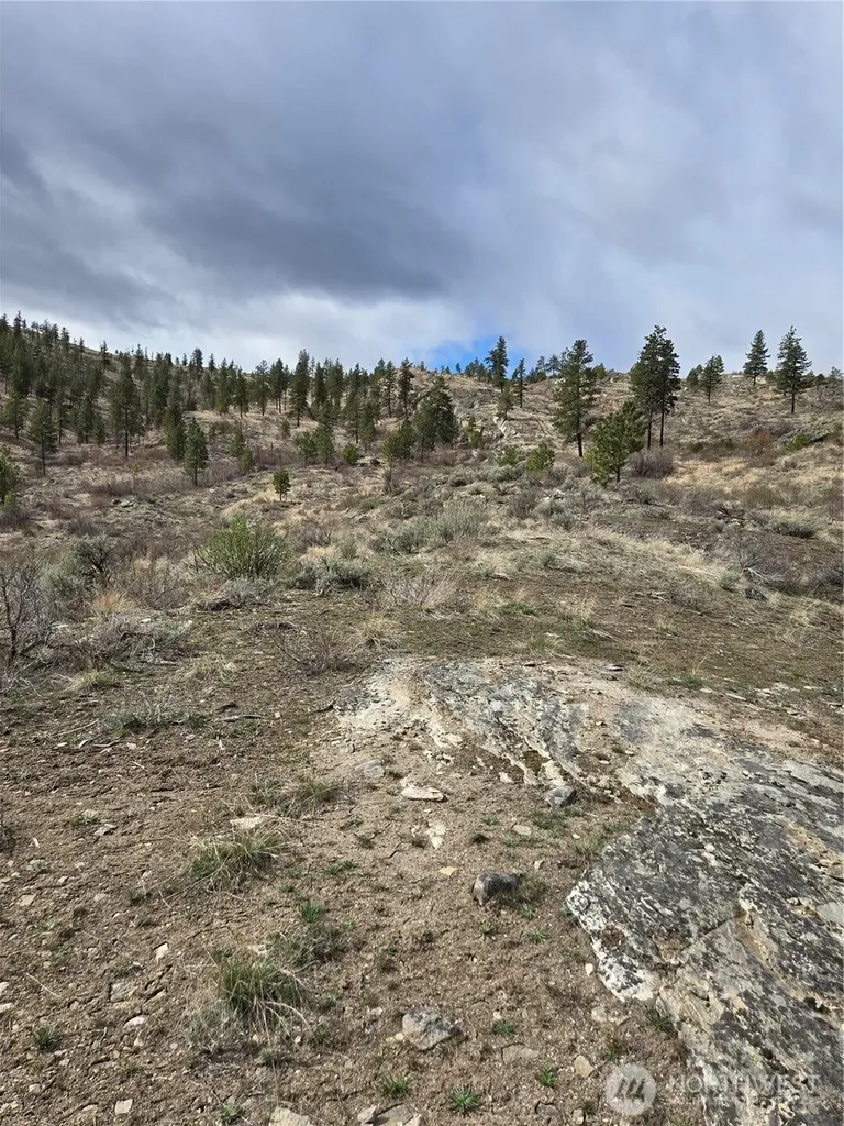 0 Tbd Twin Springs Road Tonasket WA 98855