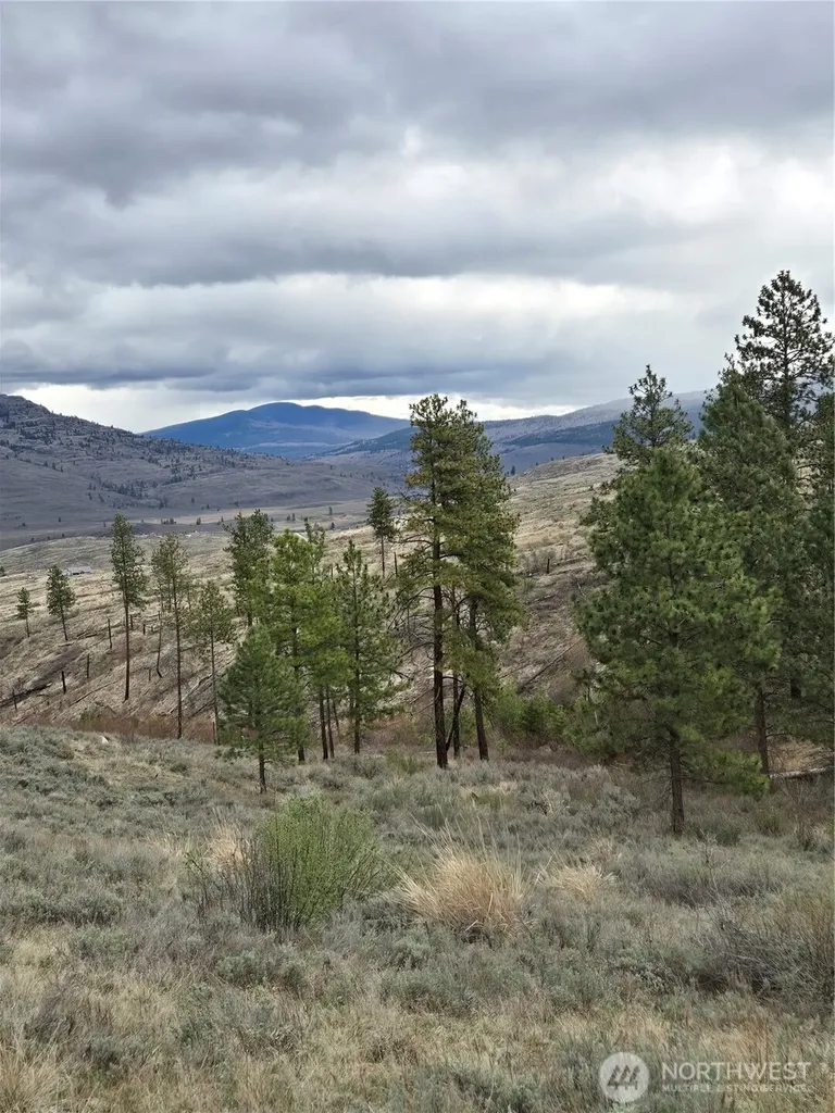 0 Tbd Twin Springs Road Tonasket WA 98855