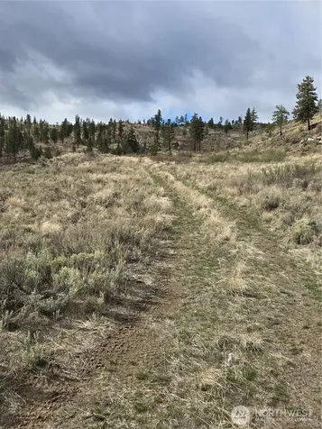 0 Tbd Twin Springs Road Tonasket WA 98855