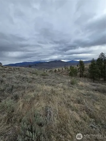 0 Tbd Twin Springs Road Tonasket WA 98855