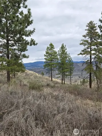 0 Tbd Twin Springs Road Tonasket WA 98855