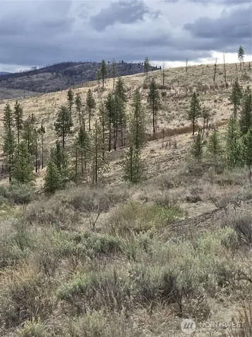 0 Tbd Twin Springs Road Tonasket WA 98855