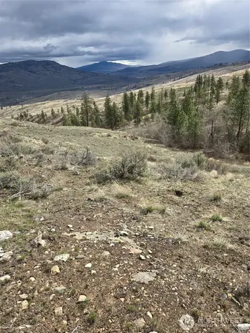 0 Tbd Twin Springs Road Tonasket WA 98855