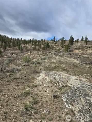 0 Tbd Twin Springs Road Tonasket WA 98855