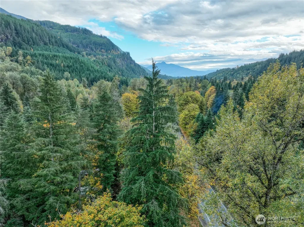 14784 Mountain View Lane Concrete WA 98237