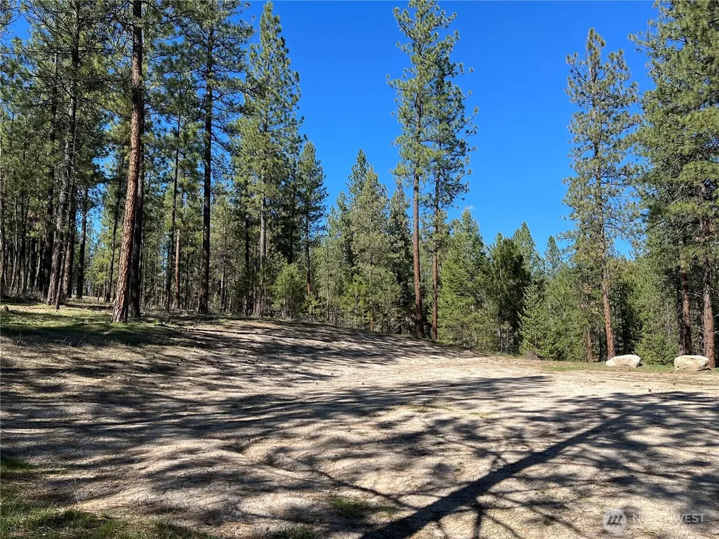 1069 Kitt Narcisse Road Colville WA 99114