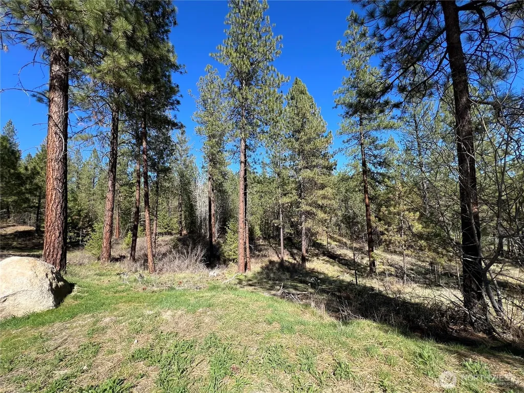 1069 Kitt Narcisse Road Colville WA 99114