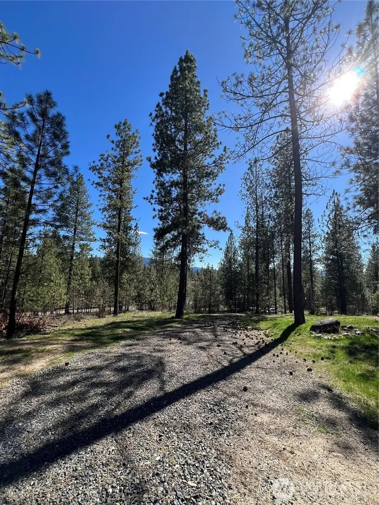 1069 Kitt Narcisse Road Colville WA 99114