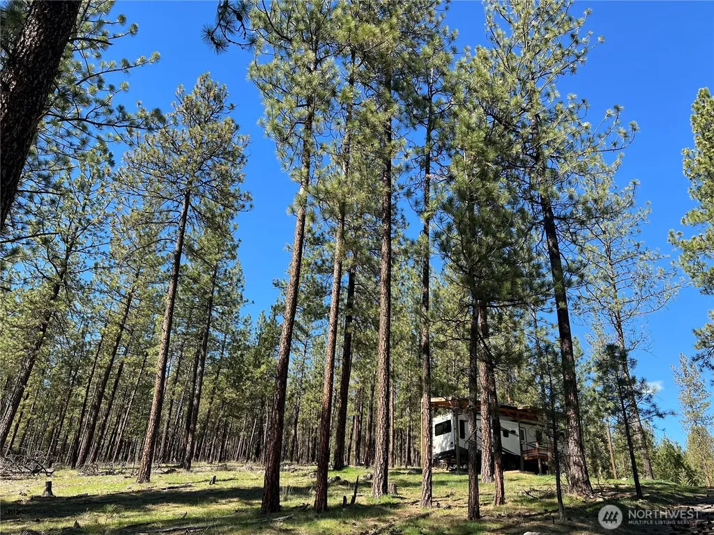 1069 Kitt Narcisse Road Colville WA 99114