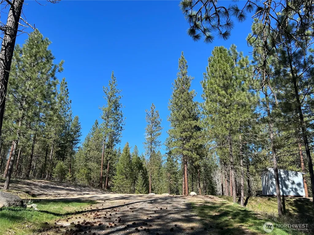 1069 Kitt Narcisse Road Colville WA 99114