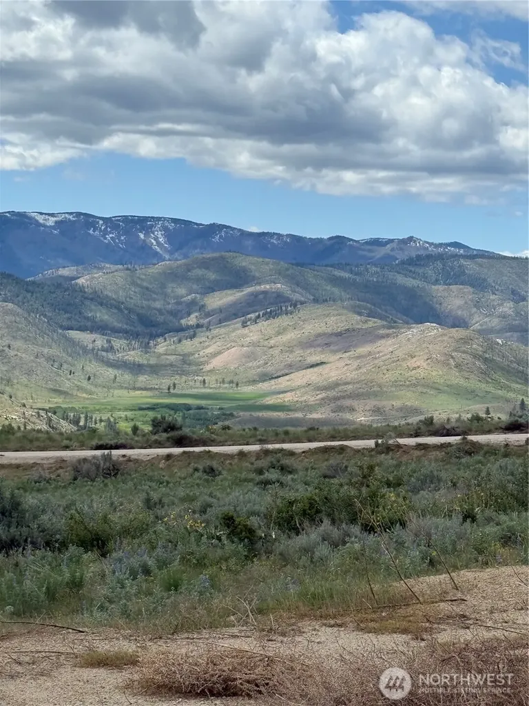 3 Ruttin Ridge Road Methow WA 98834