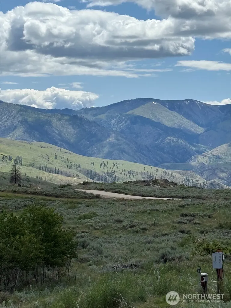 3 Ruttin Ridge Road Methow WA 98834