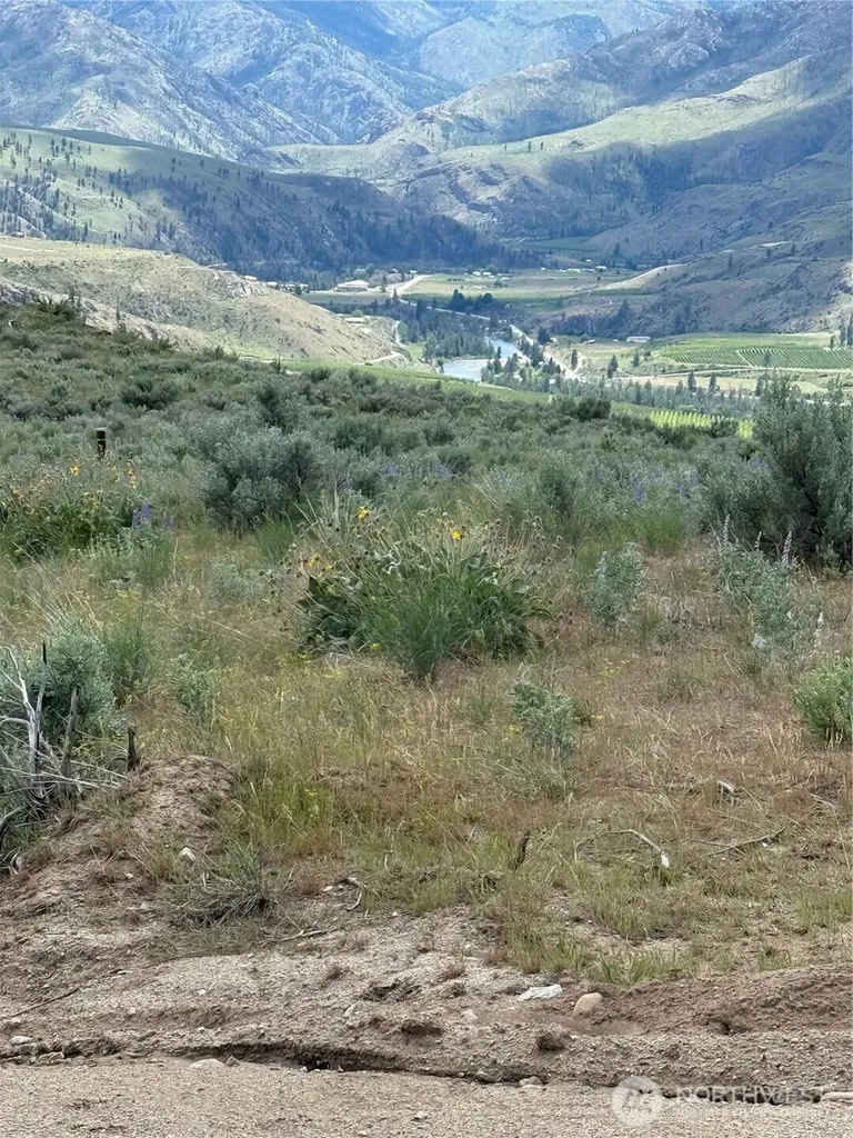 3 Ruttin Ridge Road Methow WA 98834