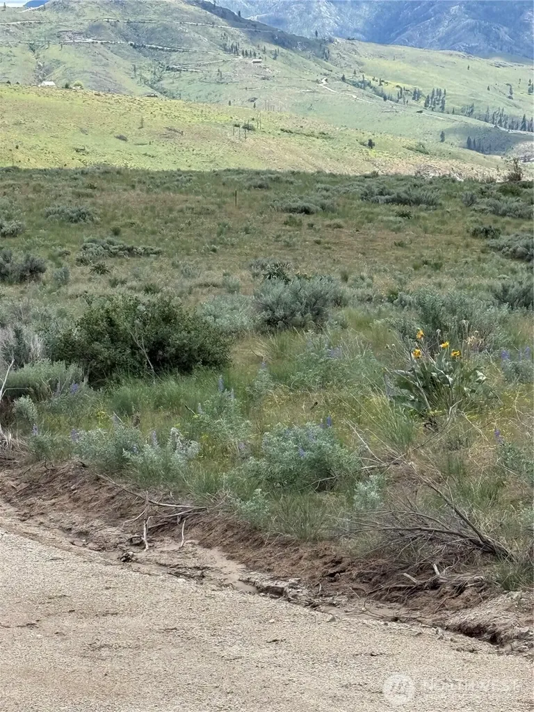3 Ruttin Ridge Road Methow WA 98834