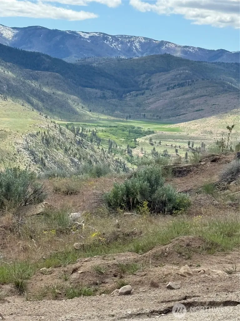 3 Ruttin Ridge Road Methow WA 98834