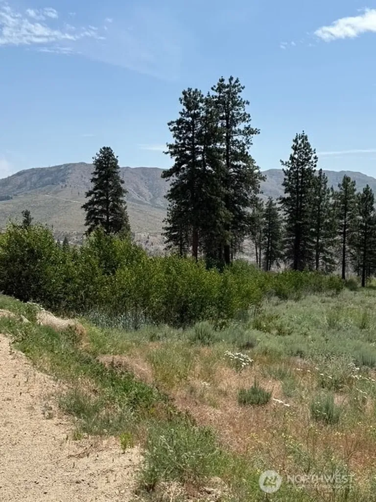 3 Ruttin Ridge Road Methow WA 98834